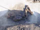 FileNo.083-199.jpg