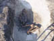 FileNo.083-200.jpg