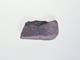 FileNo.083-228.jpg