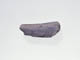 FileNo.083-229.jpg