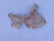 FileNo.083-242.jpg