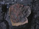 FileNo.083-247.jpg