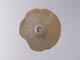 FileNo.083-288.jpg
