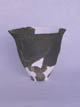 FileNo.083-328.jpg
