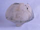 FileNo.083-332.jpg