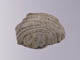 FileNo.083-334.jpg