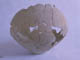 FileNo.083-361.jpg