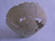 FileNo.083-362.jpg