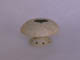 FileNo.083-441.jpg