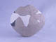 FileNo.083-452.jpg