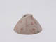 FileNo.083-497.jpg