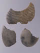 FileNo.083-516.jpg