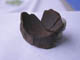 FileNo.083-532.jpg