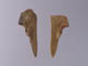 FileNo.083-545.jpg