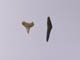FileNo.083-547.jpg