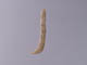 FileNo.083-548.jpg