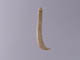 FileNo.083-549.jpg