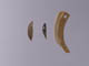 FileNo.083-556.jpg
