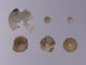 FileNo.083-557.jpg