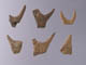 FileNo.083-566.jpg