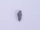 FileNo.083-571.jpg
