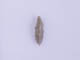 FileNo.083-573.jpg
