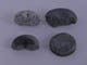 FileNo.083-602.jpg