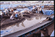 FileNo.083-605.jpg