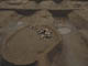 FileNo.084-002.jpg