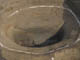 FileNo.084-006.jpg