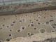 FileNo.084-013.jpg