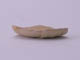 FileNo.084-067.jpg