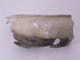 FileNo.084-100.jpg