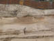 FileNo.085-006.jpg