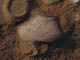 FileNo.085-007.jpg