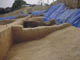 FileNo.085-010.jpg