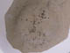 FileNo.085-034.jpg