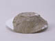 FileNo.085-049.jpg