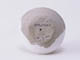 FileNo.085-056.jpg