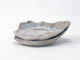 FileNo.085-109.jpg
