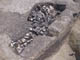 FileNo.086-018.jpg