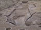 FileNo.086-024.jpg