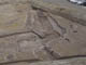 FileNo.086-025.jpg