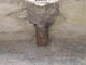 FileNo.086-029.jpg