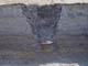 FileNo.086-032.jpg