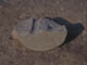 FileNo.086-068.jpg