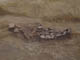 FileNo.086-070.jpg