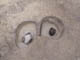 FileNo.086-073.jpg
