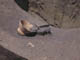 FileNo.087-004.jpg
