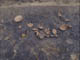 FileNo.087-023.jpg